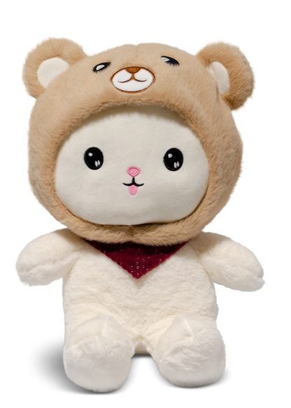Kuscheltier Teddy Plüschtier Teddy Bär Personalisierte geschenkidee